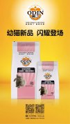 奧丁精品幼貓糧閃耀登場?。?！
