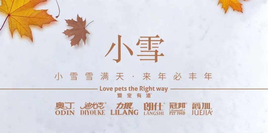 小雪丨天地初寒，歲月安暖